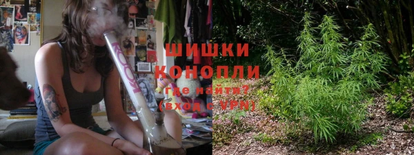 дживик Дрезна