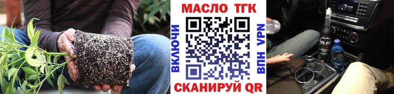 ссылка на мегу как войти  Кировград  ТГК THC oil  купить  сайты 