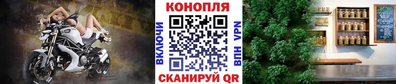 Шишки марихуана Bruce Banner  Кировград 